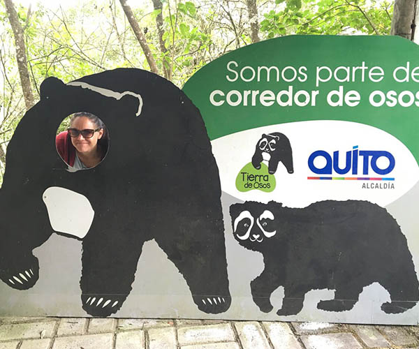 Andean Bear Corridor Study